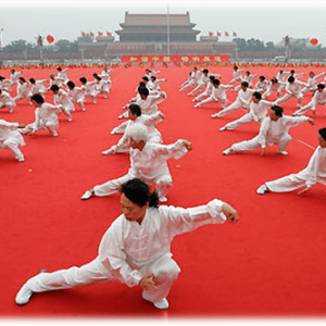 taichi-estiloyang gr taichi-estiloyang gr