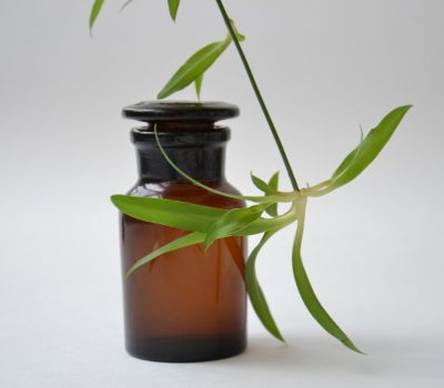 pharmacy_shtanglas_glass_bottle_chemist_glassware_dark_glass_plant_floral_water_hydrolat-1032875.jpg!d pharmacy_shtanglas_glass_bottle_chemist_glassware_dark_glass_plant_floral_water_hydrolat-1032875.jpg!d