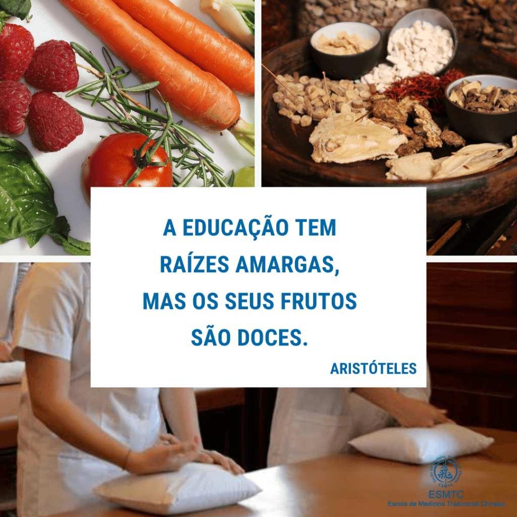 frase aristoteles educação
