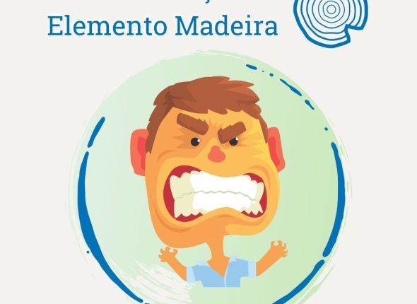 Movimento Madeira 2
