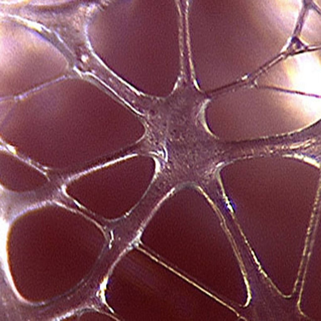 39159198_616510888749954_6933732925636608000_n