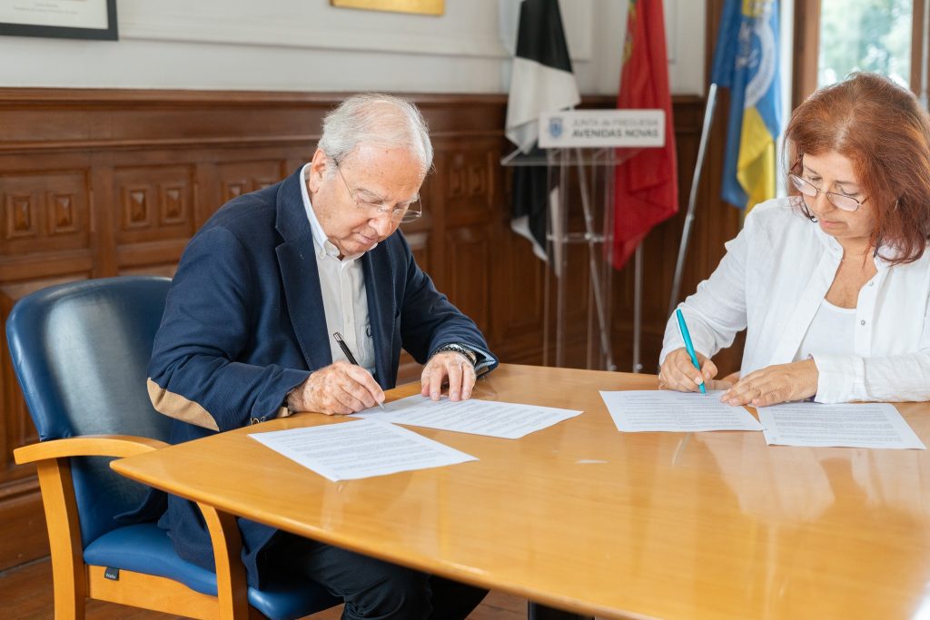 protocolo Avendias novas