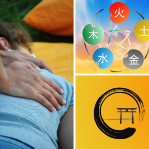 Curso Shiatsu – Uma Terapia Holística