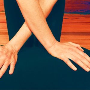Curso Fascia e Libertação Miofascial