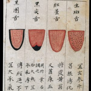 Seminário de Fitoterapia da Medicina Tradicional Chinesa: "Prática do Exame de Observação da Língua em MTC" | 4ª Edição
