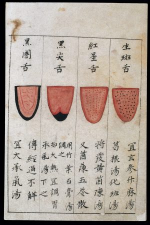 Seminário de Fitoterapia da Medicina Tradicional Chinesa: "Prática do Exame de Observação da Língua em MTC" | 4ª Edição