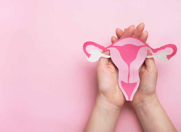 Design sem nome (13)