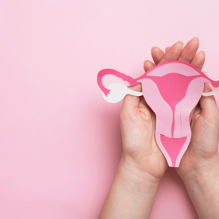 Design sem nome (13)