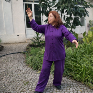 Os 15 Movimentos de Wudang