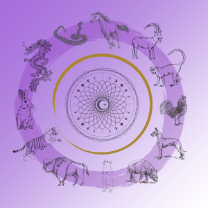 Curso Astrologia Chinesa – Método Bazi - Pagamento a Prestações