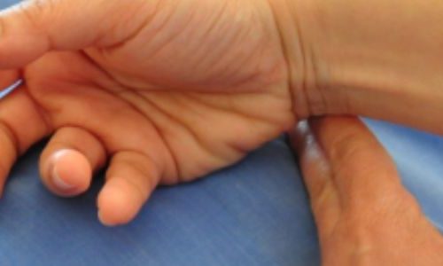 Imagens Site (900 × 300 px) (900 x 300 px)